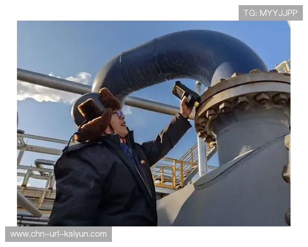 双链路容灾机制在系统重构期强化 筑牢了重大活动直播的安全红线