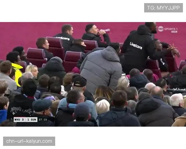 场边花絮：球迷冲入场内导致比赛中断五分钟